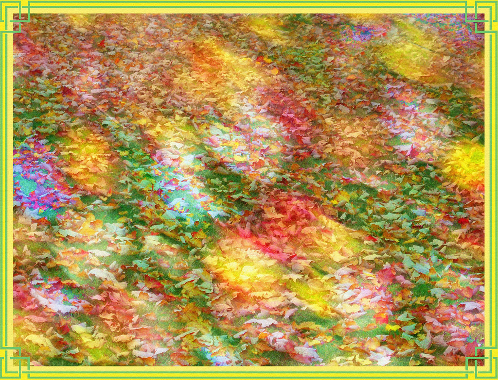 Leaves of Stained Glass **Feel free to zoom in to view thi… Flickr