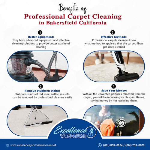 BenefitsofProfessionalCarpetCleaninginBakersfieldCa… Flickr