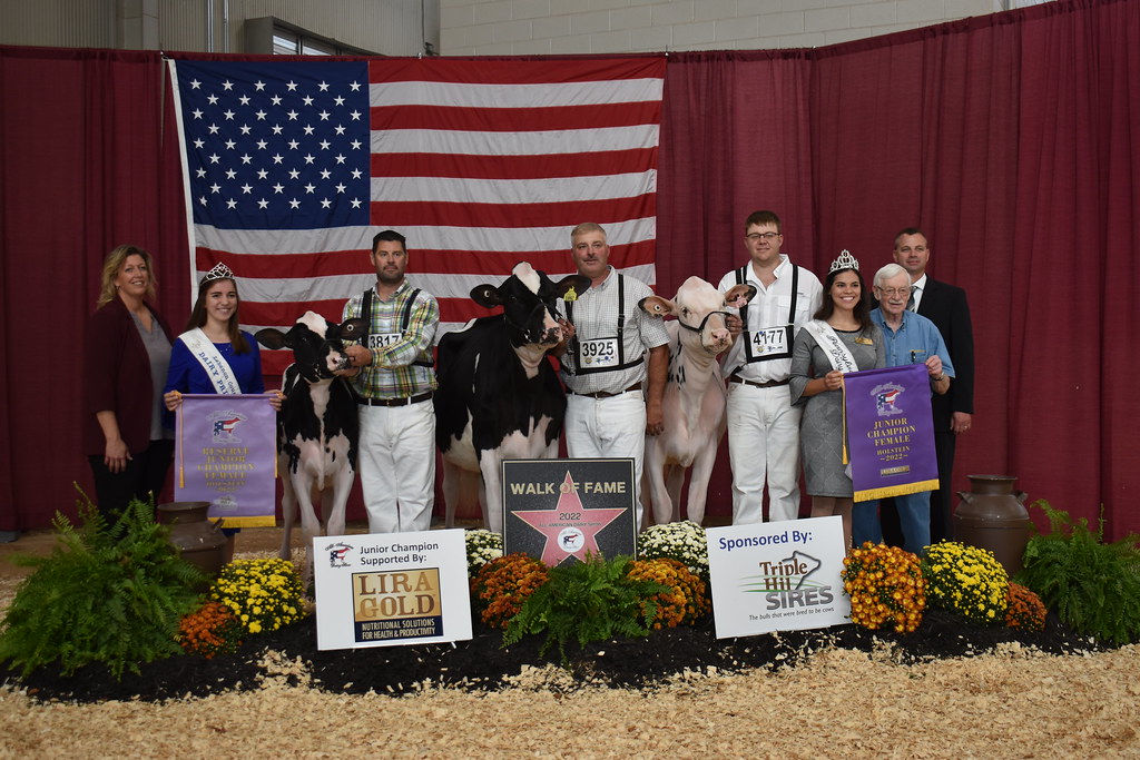 2022 AllAmerican Holstein AllAmerican Junior Champion Ko… Flickr