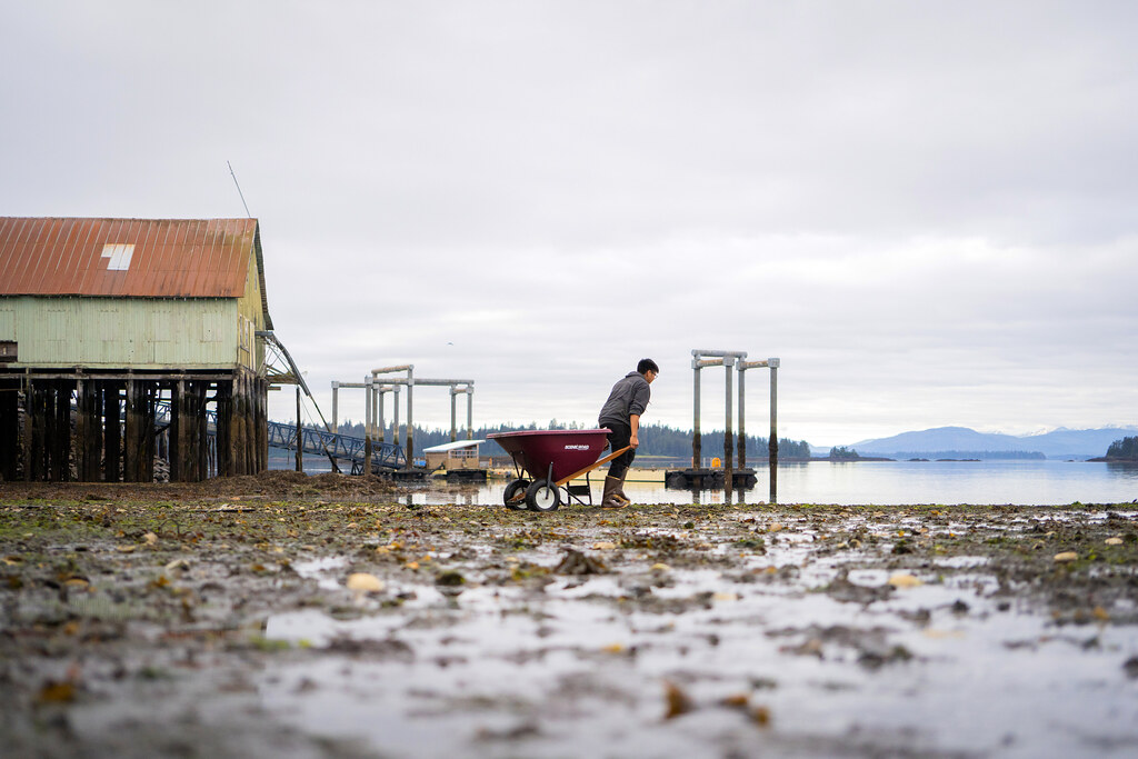 Rocks for Clam Garden Photos of the Kake AYS (Alaska Youth… Flickr