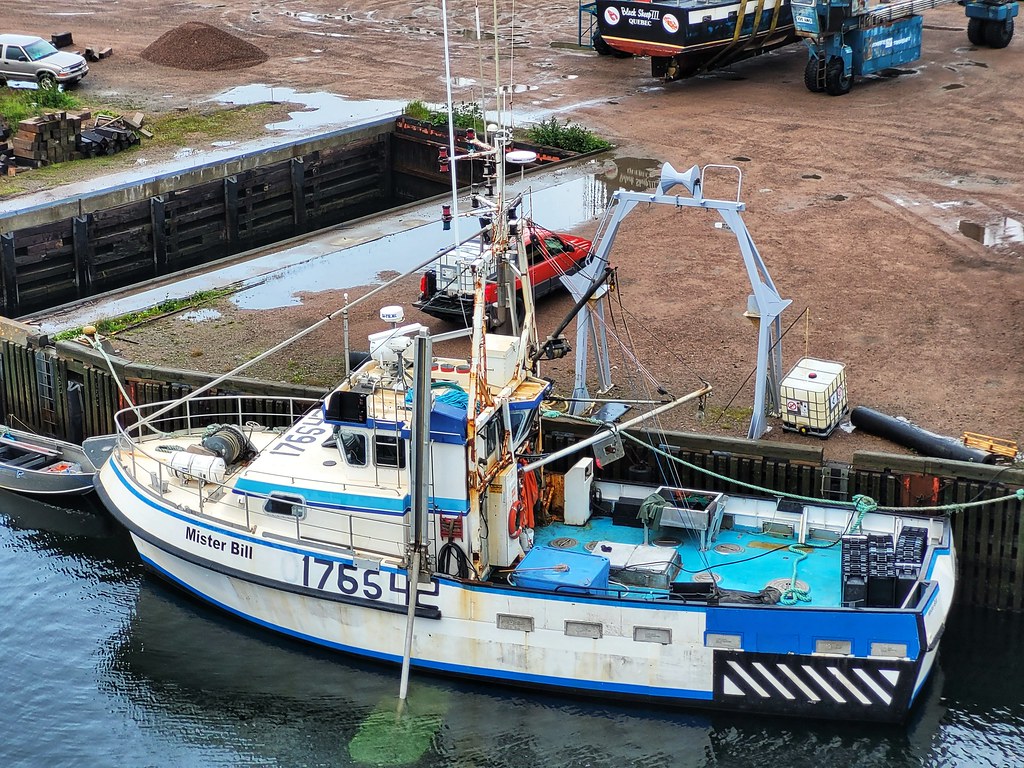 La Tabatiere, Quebec Bobcatnorth Flickr