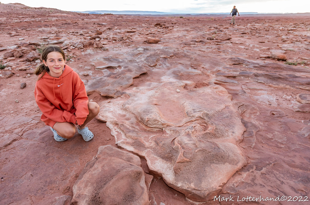 Dinosaur Track Navajo Dinosaur Tracks Near Tuba City, AZ Mark