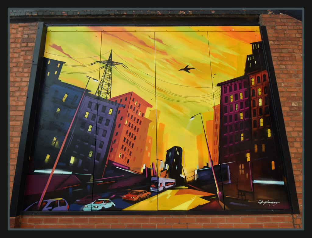 Leicester Street Art This mural is painted at the life ski… Flickr