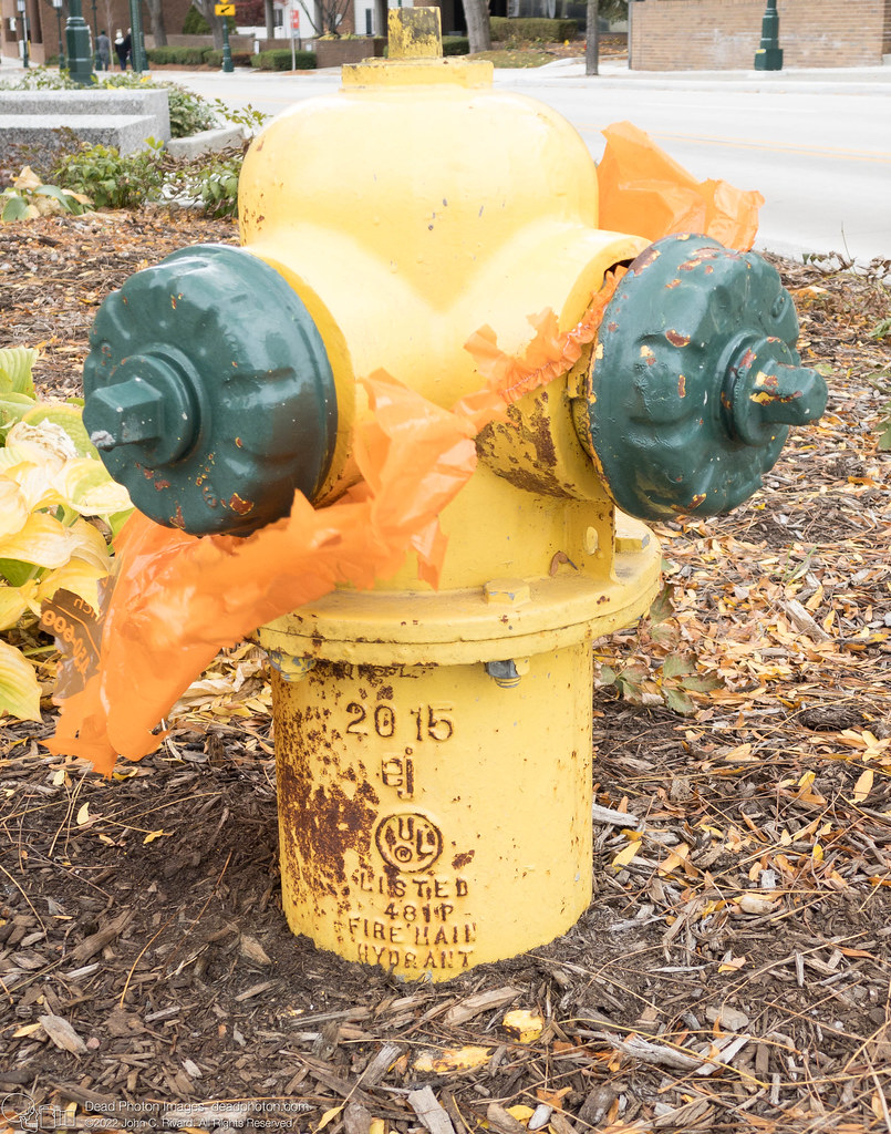 East Jordan Iron Works hydrant, Birmingham, Michigan. Octo… Flickr