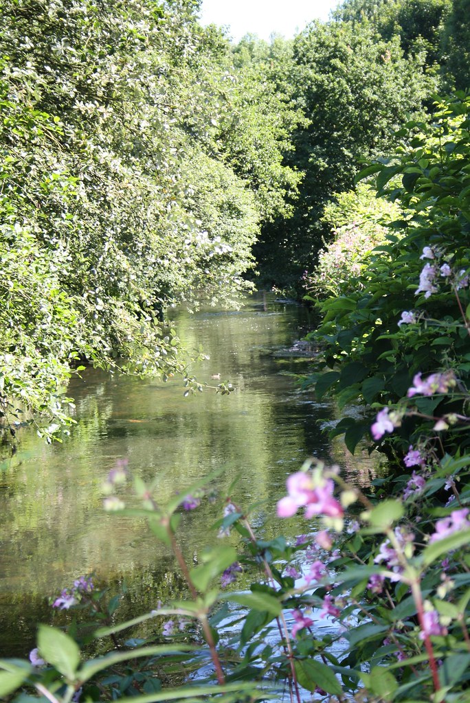 IMG_4122 Steve Apperley Flickr