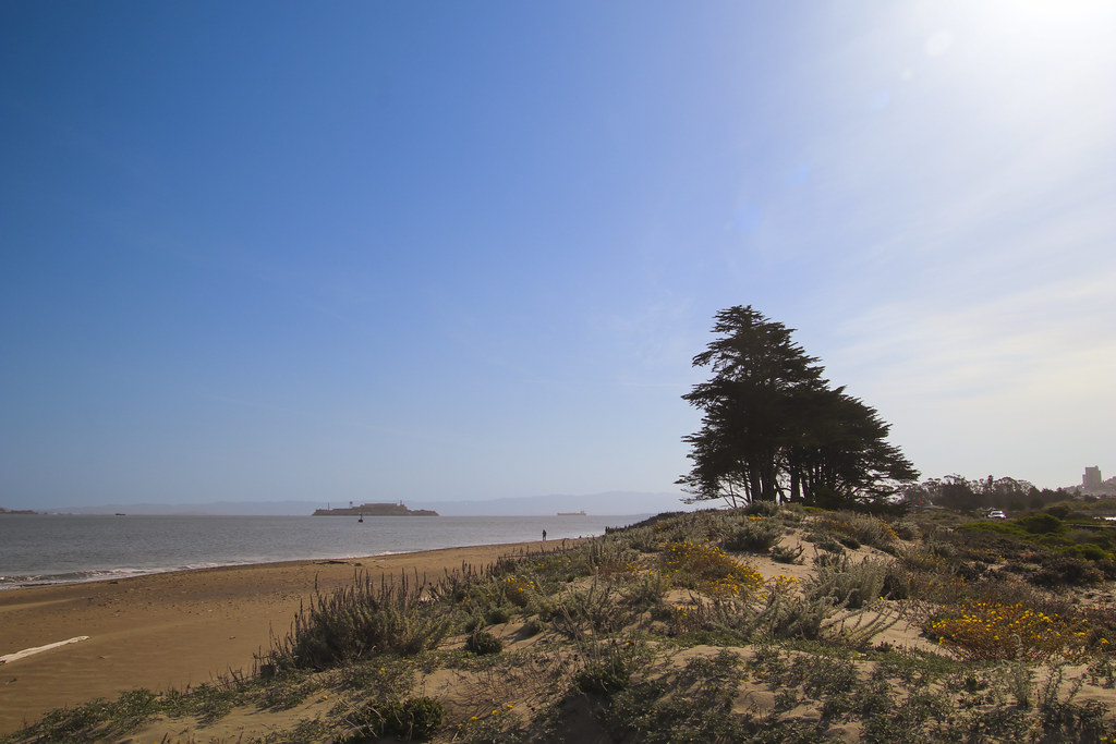 Crissy Field Beach Gary Hamilton Flickr