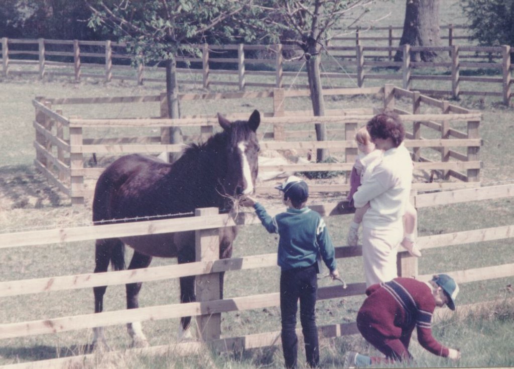 page37 that darn horse Steve Apperley Flickr