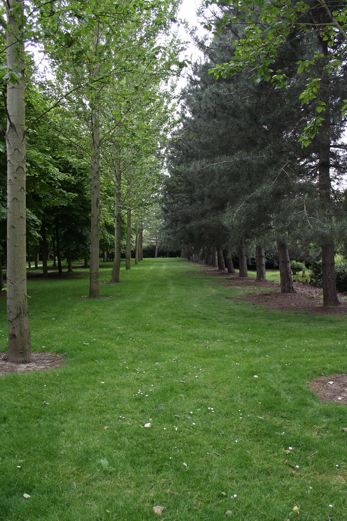 IMG_2344 Steve Apperley Flickr