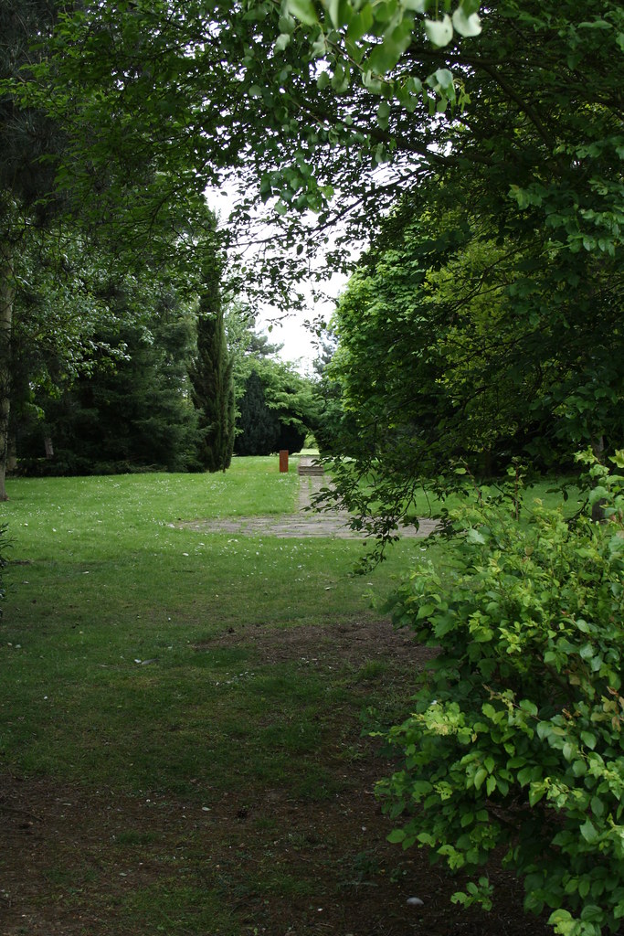 IMG_2343 Steve Apperley Flickr