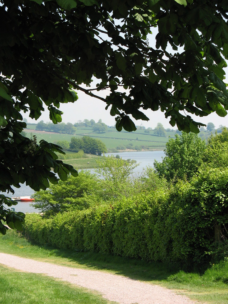 IMG_0576 Steve Apperley Flickr