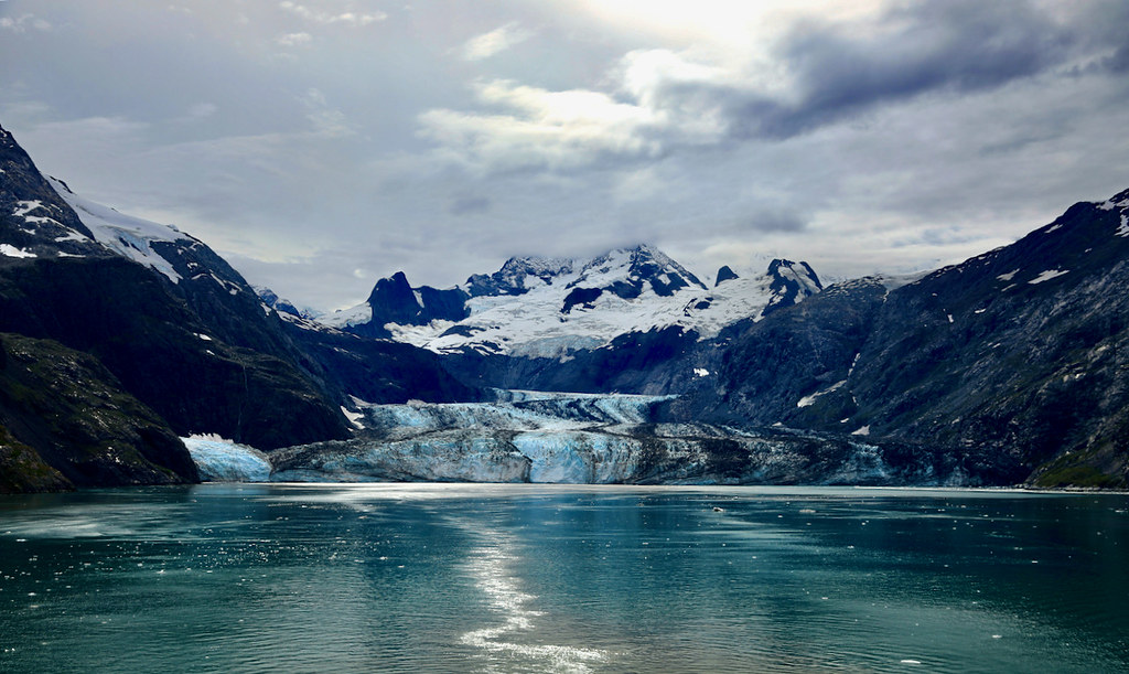 701A8969 Glacier Bay, Johns Hopkins Glacier Lyman.C Flickr