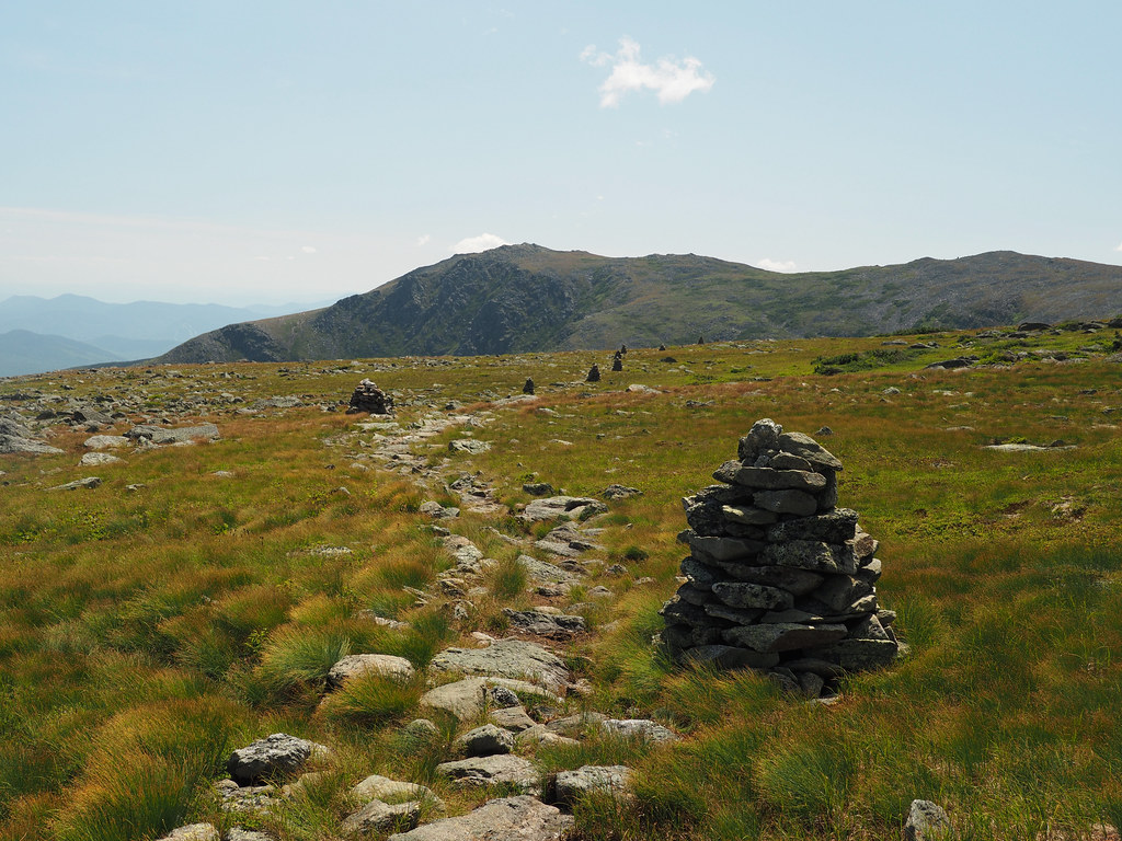 Alpine Garden Mount Washington, New Hampshire Sean Munson Flickr