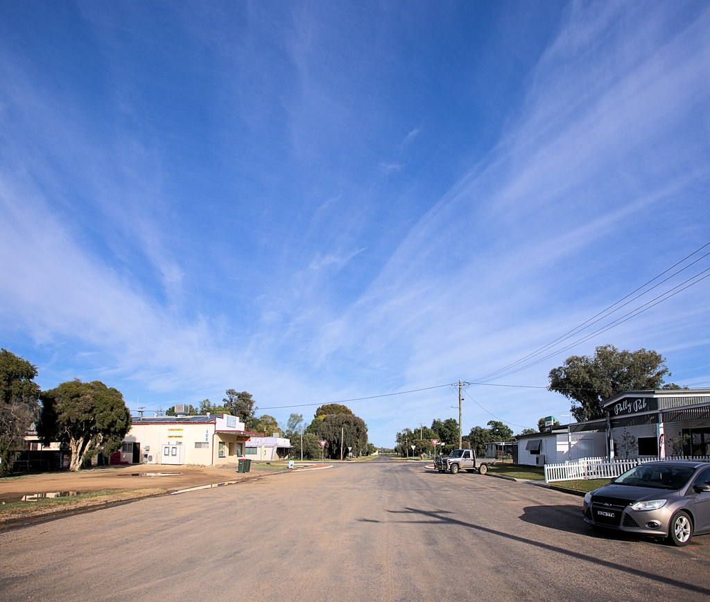 PALLAMALLAWA (PALLY) Decided on Pallamallawa as the Saturd… Flickr