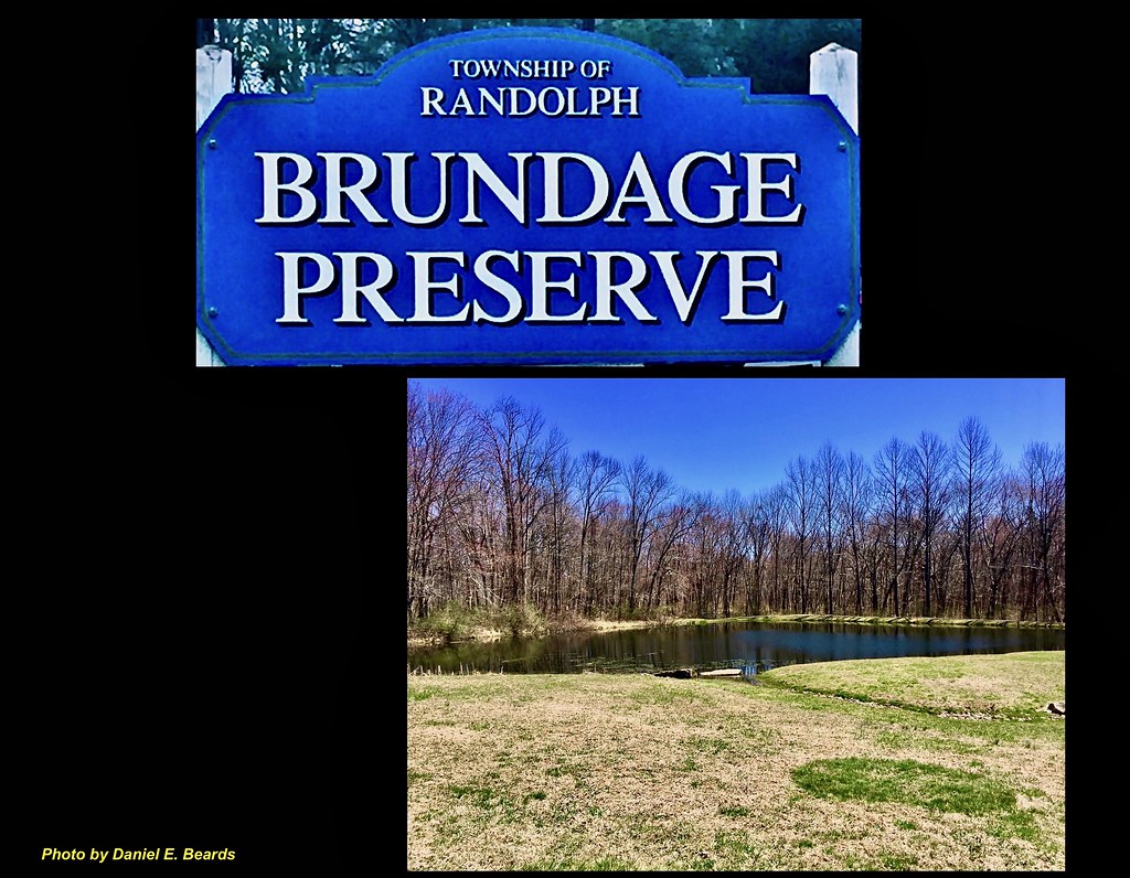 The Brundage Preserve in Randolph, NJBrun 7 The Brundage P… Flickr