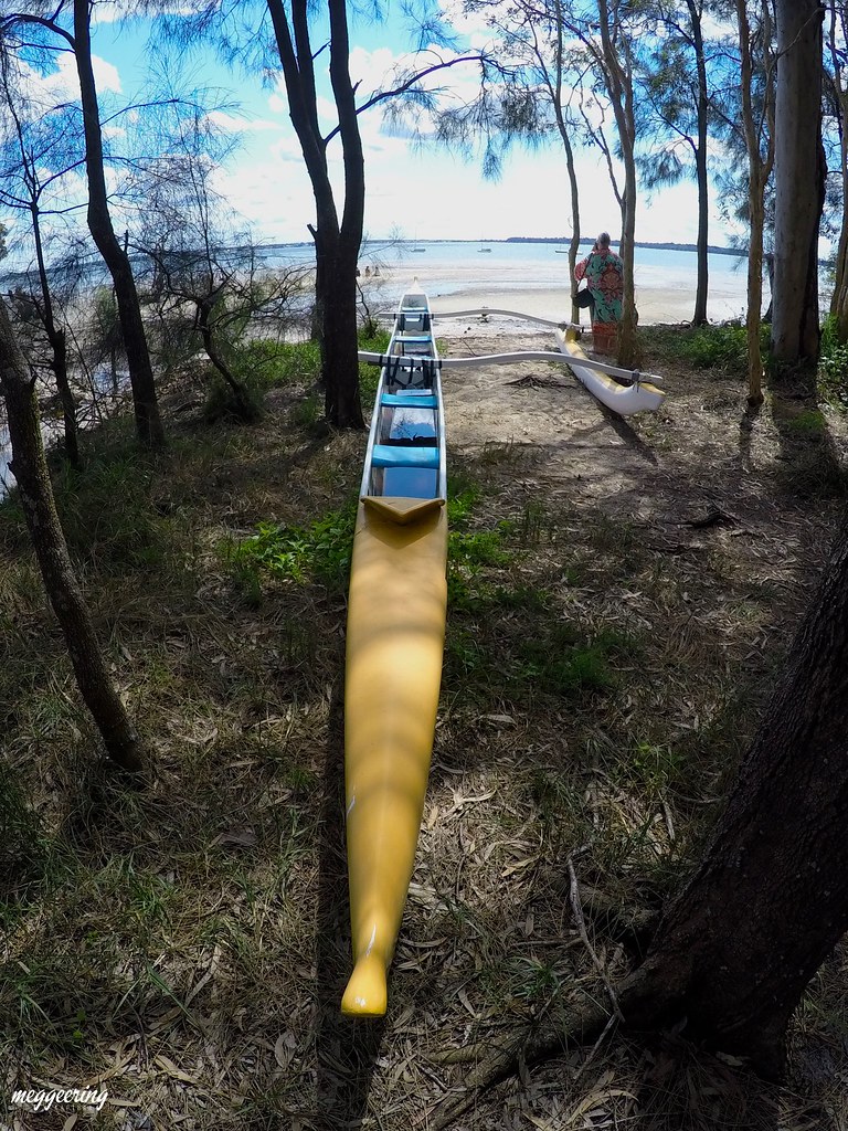 Stranded Sandpiper Beach Macleay Island Meg Geering Flickr