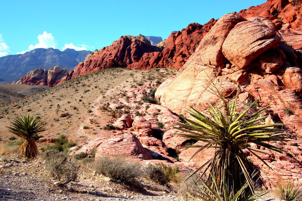 Red. Rock, NV Daniela Falkenau Flickr