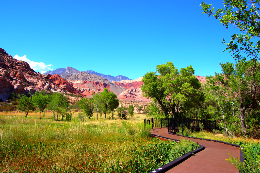 Red. Rock, NV Daniela Falkenau Flickr