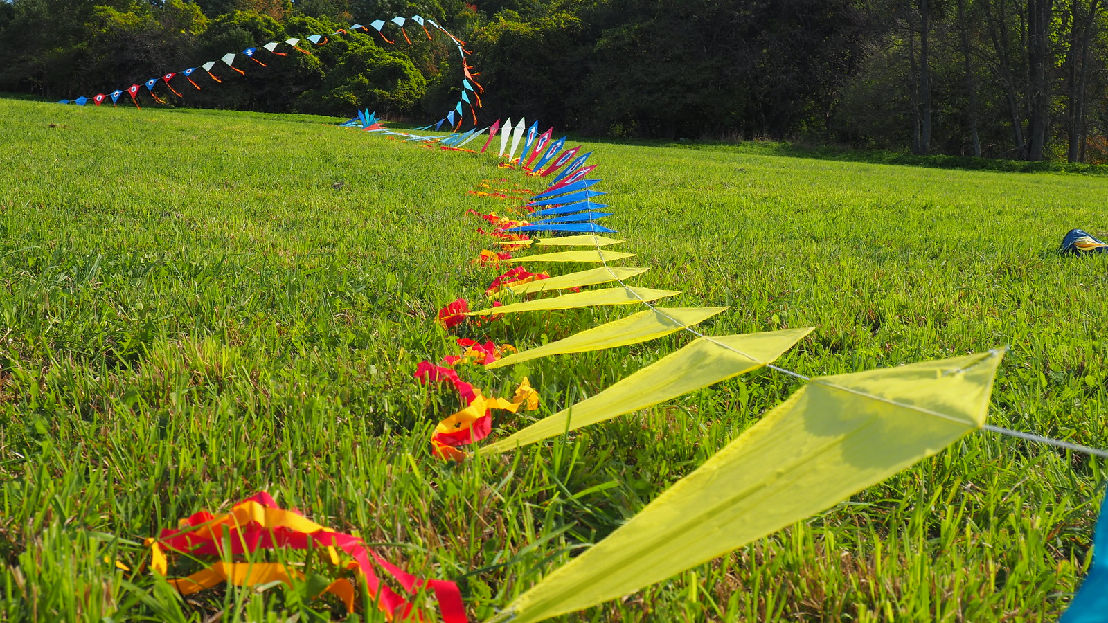 cherry valley 2022 Flickr