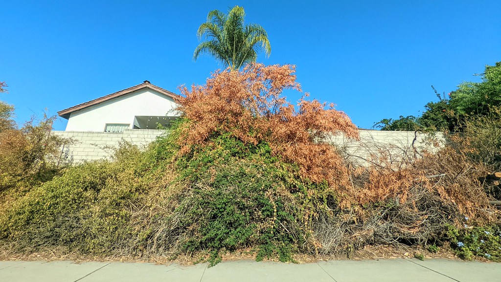 Rancho Bernardo 83122 (2) David Valenzuela Flickr