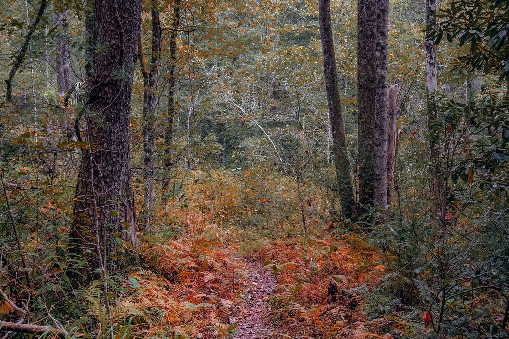 Ashmore Heritage Preserve Bester Photo Flickr