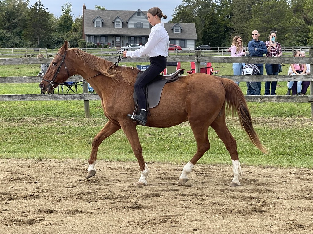 Benefit Horse Show 2022 bolender6 Flickr