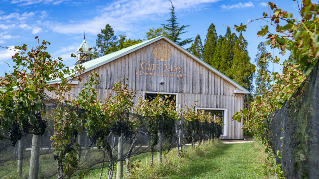 DSC09980 Matt Stover Flickr