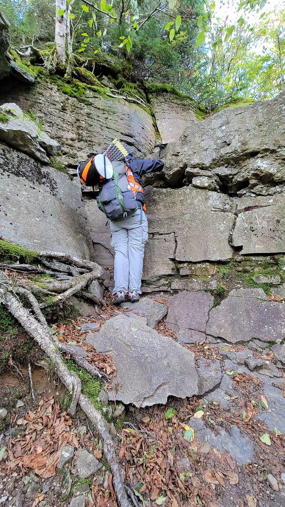 Historical Society Of The Town Of Middletown Delaware County