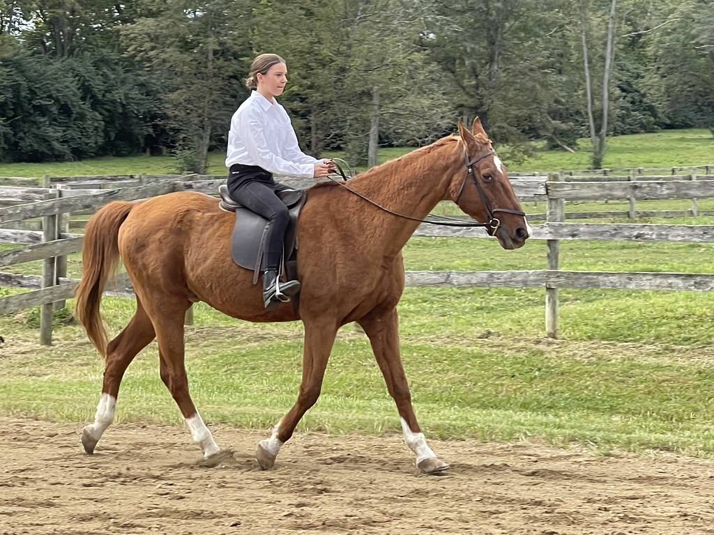 Benefit Horse Show 2022 bolender6 Flickr