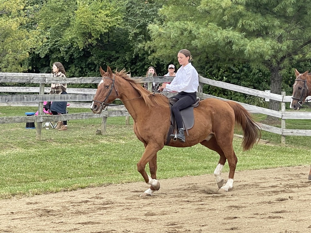 Benefit Horse Show 2022 bolender6 Flickr