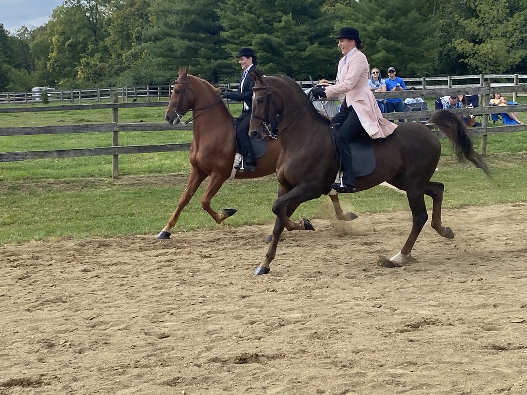 Benefit Horse Show 2022 bolender6 Flickr