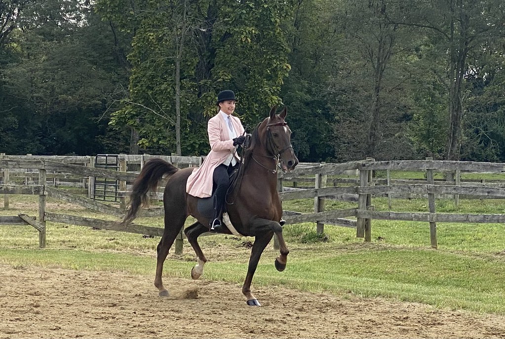 Benefit Horse Show 2022 bolender6 Flickr