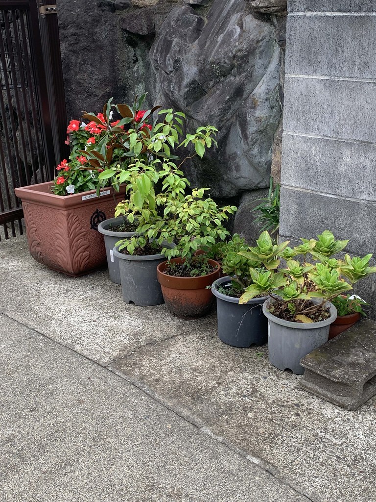 plant pots Put away platn pots to prevent them from fallin… Flickr