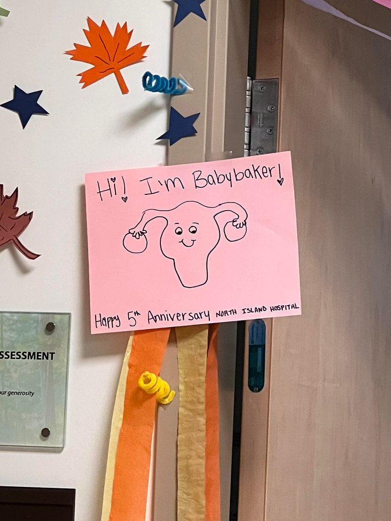 North Island Hospitals celebrate first five years North Is… Flickr