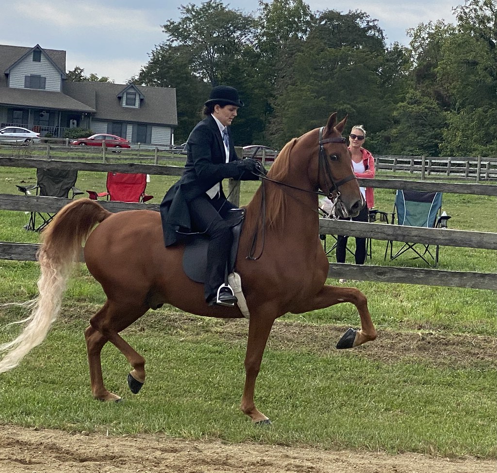 Benefit Horse Show 2022 bolender6 Flickr