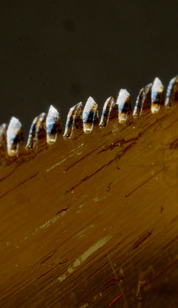 zigzag saw OLYMPUS DIGITAL CAMERA Philip Rogers Flickr