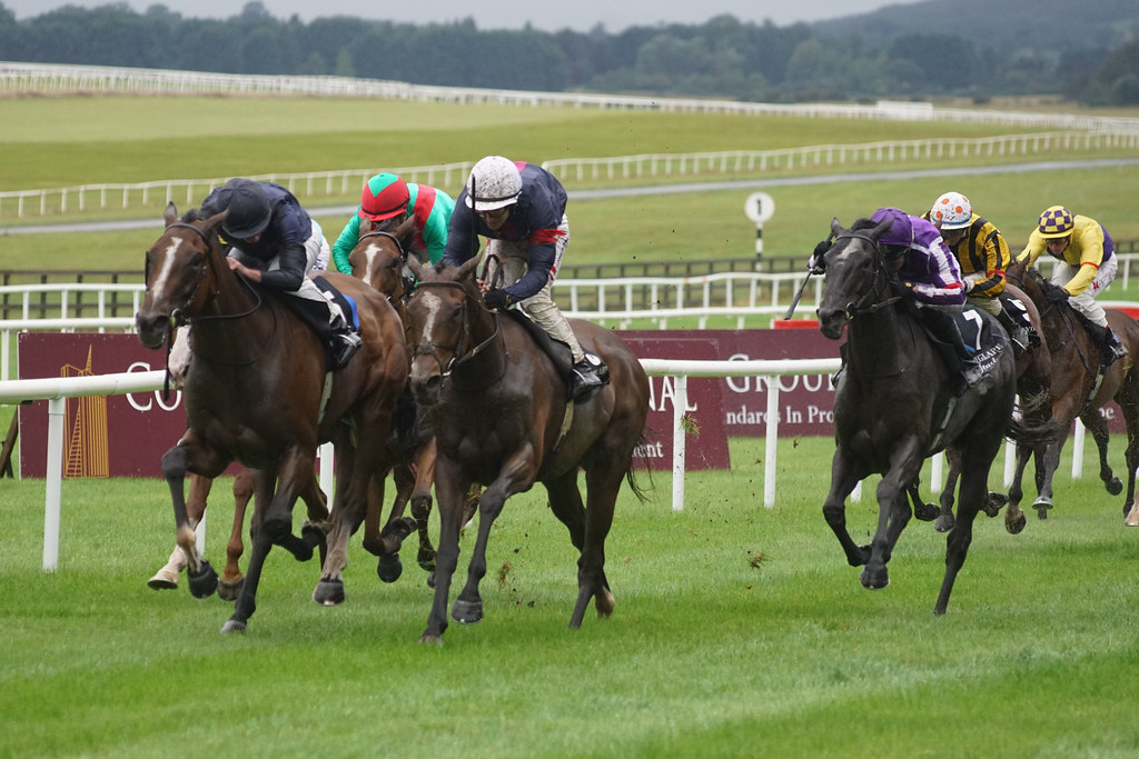 Blandford Stakes (Gr 2 fillies & mares), 1m 2f, Curragh, … Flickr