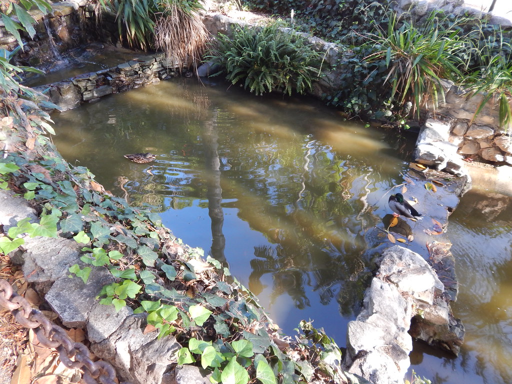 Averill Park, San Pedro Wednesday James Fujita Flickr