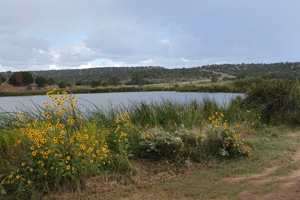 Perch Lake, Santa Rosa, Guadalupe County, NM (145) Flickr