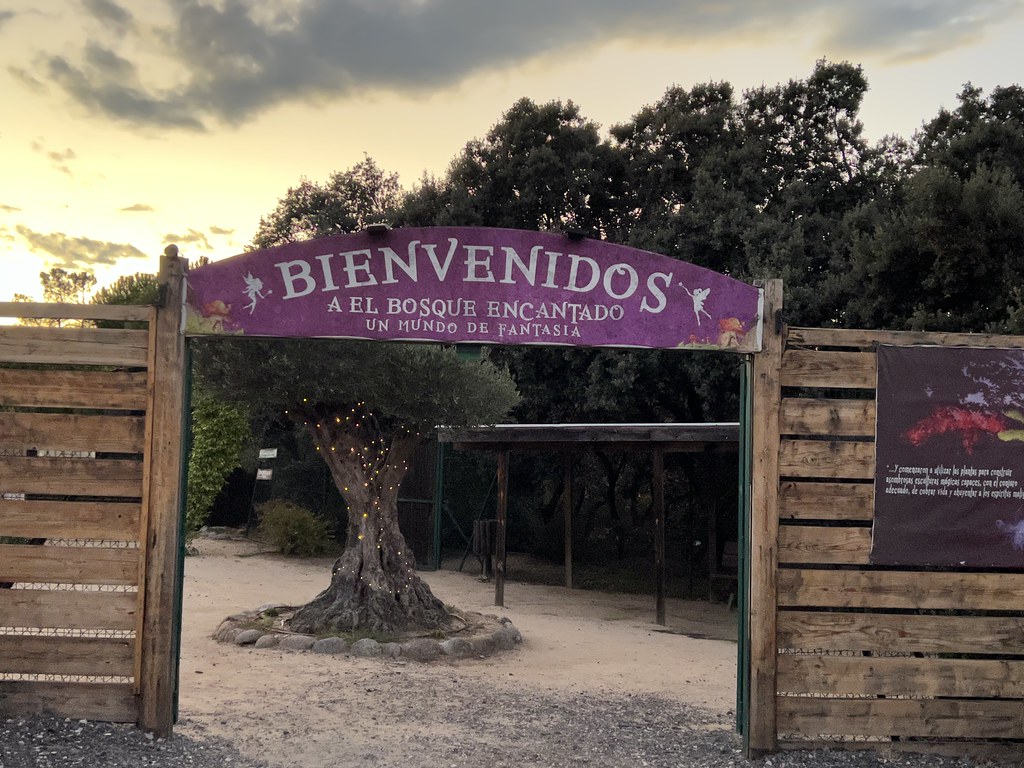 Visita al Bosque Encantado en Madrid Planifica tu viaje con Planitravel
