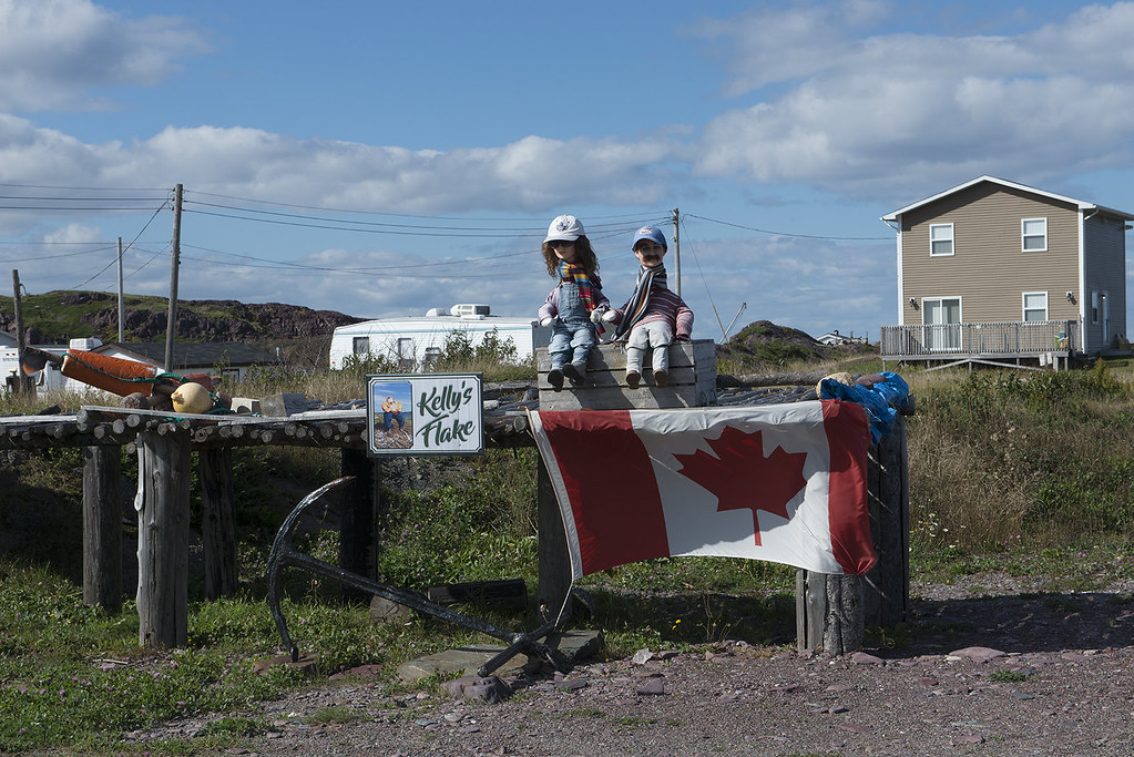 Bonavista Peninsula Tickle Cove Stephen Millar Flickr