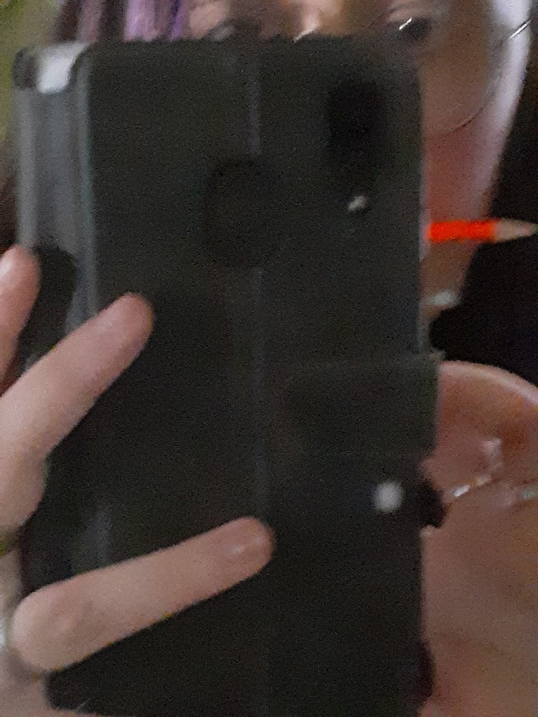 camera Seraphim Strauss Flickr