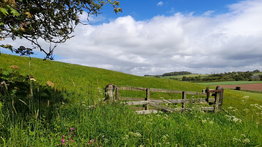 Ayrshire Countryside A photo of some fields and a fence ga… Flickr