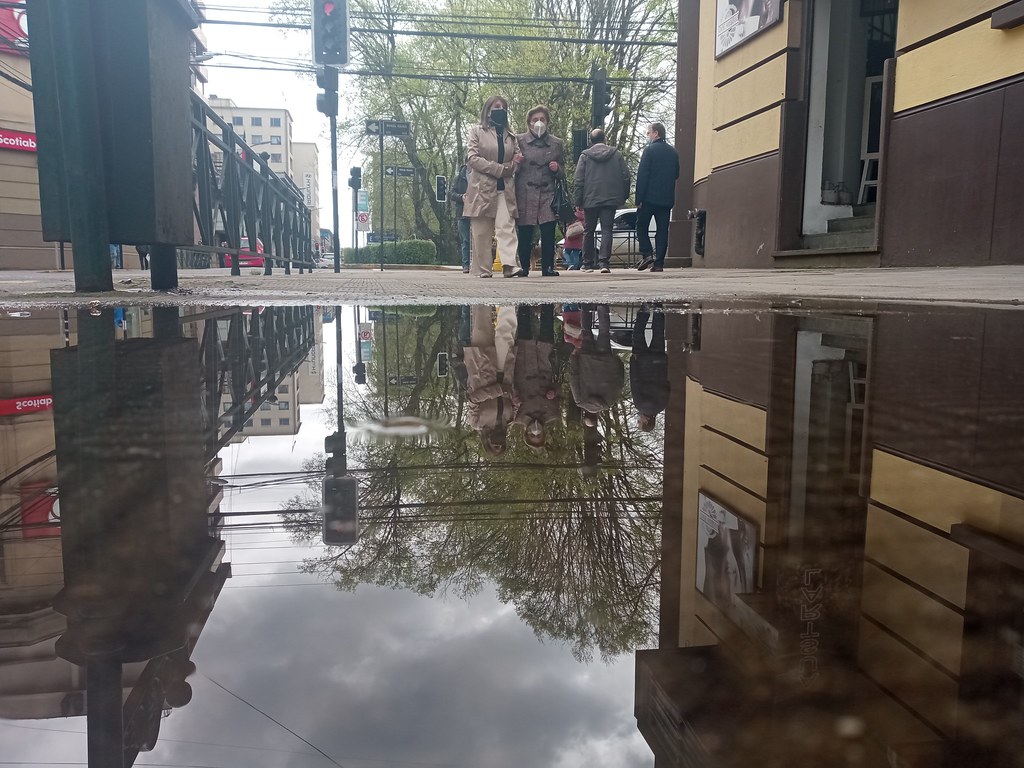 IMG_20220923_155758 Ignacio Zárate Flickr