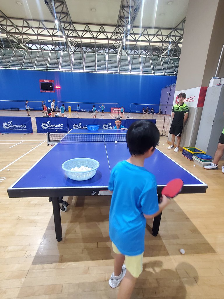 10 Singapore Table Tennis Association Flickr