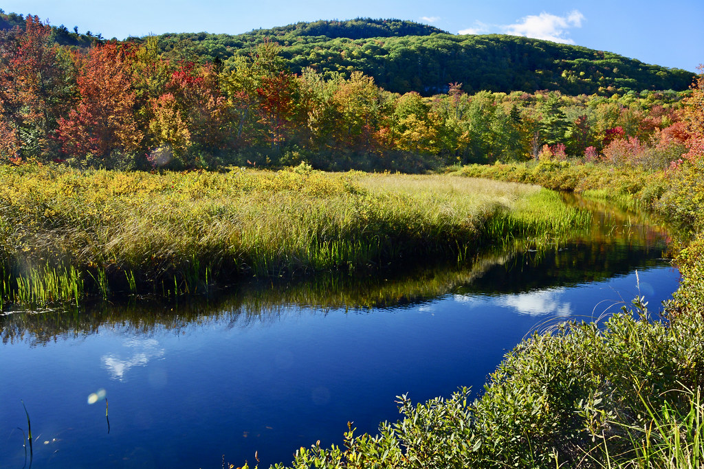 Little Brook rachel.roze Flickr