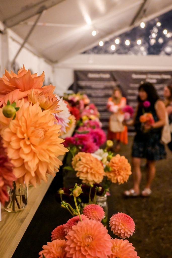 Field to Vase Oxford, MI September 2022 (434) American Grown Flowers