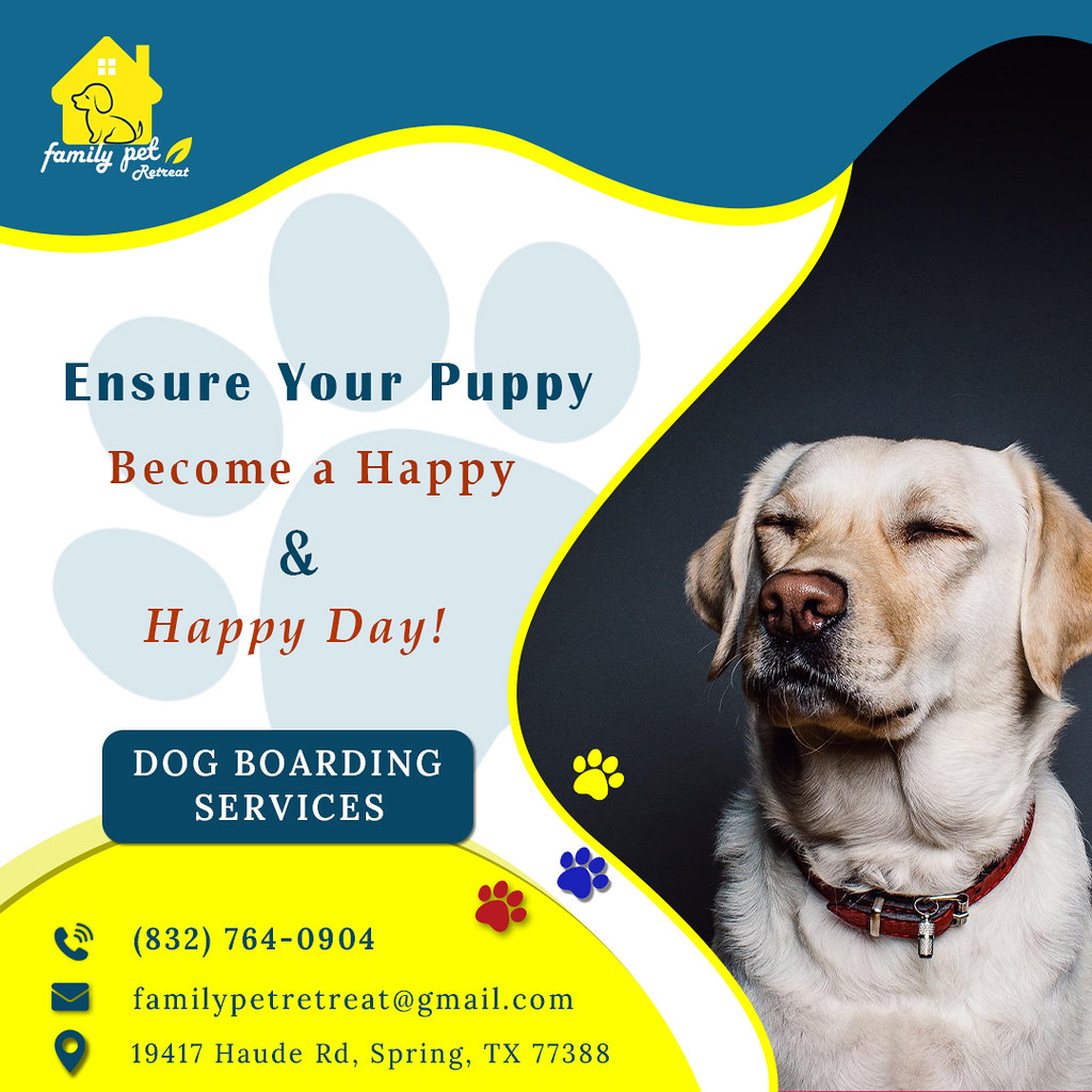 Untitled4 Ensure Your Puppy a healthy and Happy D