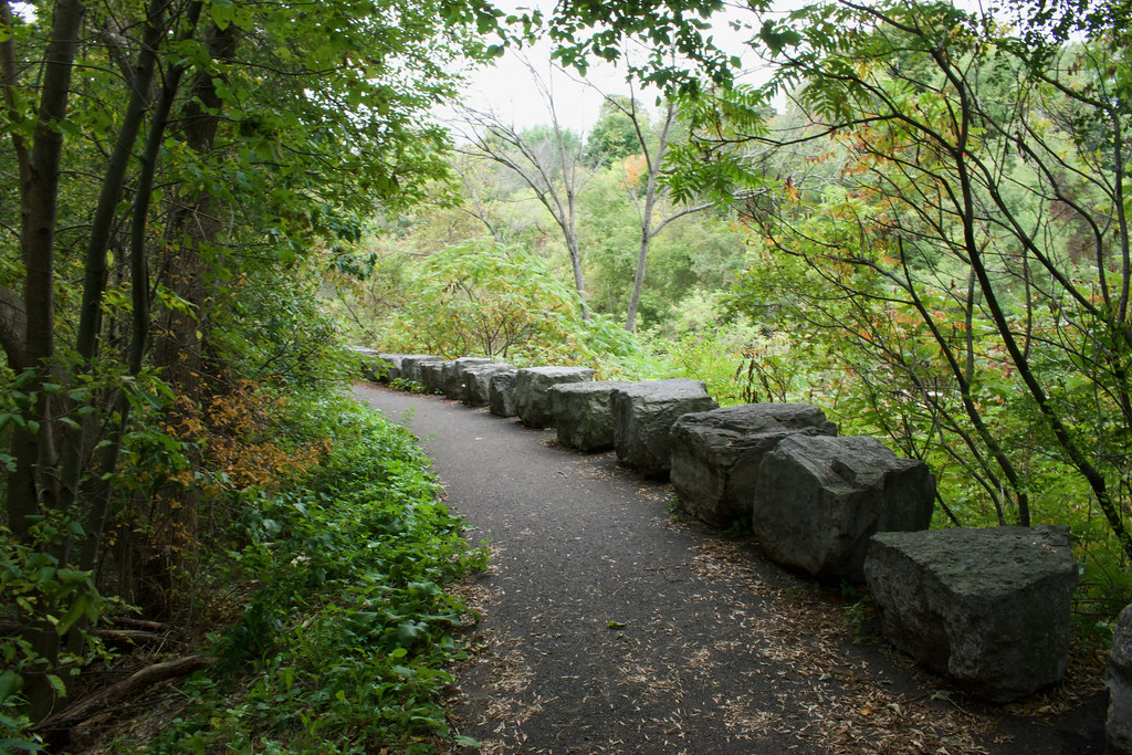 Trail in Pansy Patch Pansy Patch Park Dev Minotra Flickr
