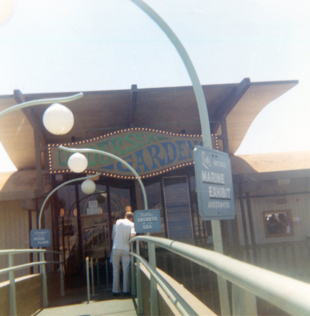 Found Photo Undersea Gardens Newport, Oregon jericl cat Flickr