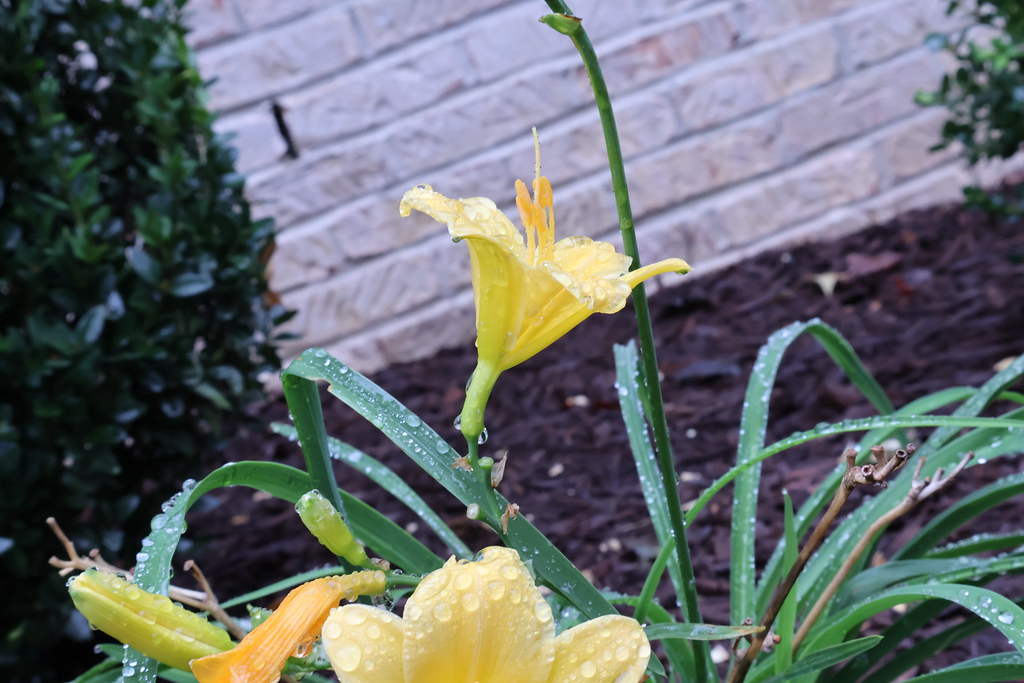Winco_Exercise4 Close up of plants with a shutter speed of… Flickr